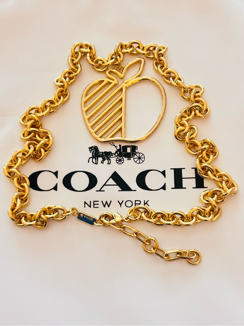 NWOT RARE Coach New York Big Apple Charm Necklace